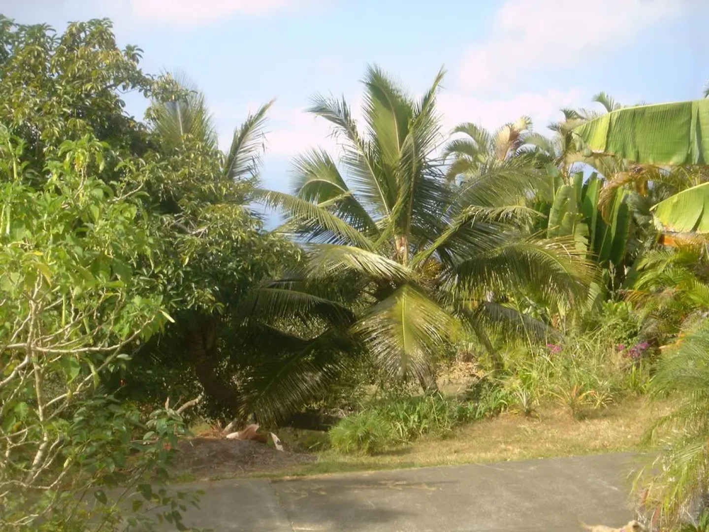 Green Lions Bed & Breakfast