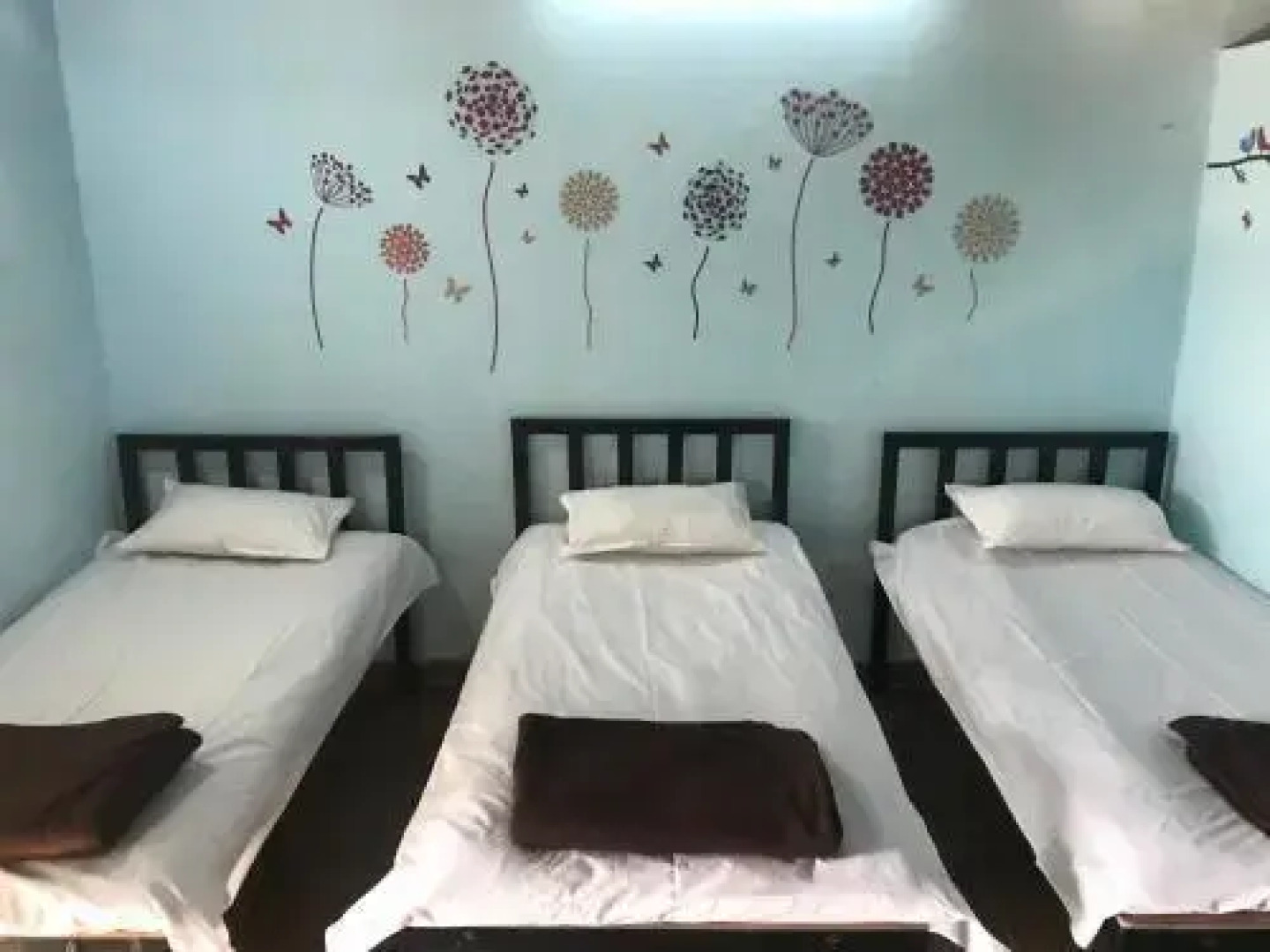 Green Fog Guesthouse