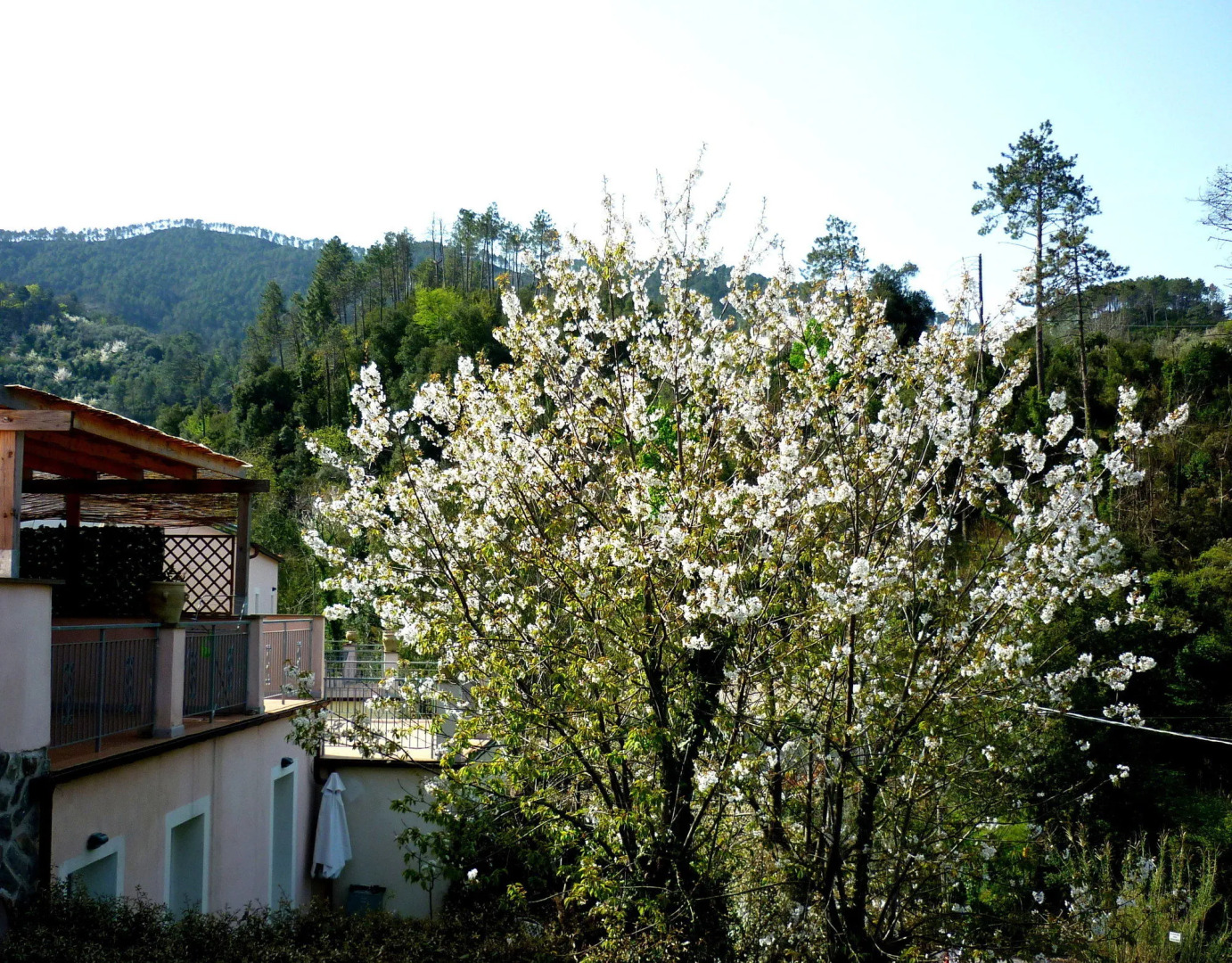 Resort Costa Morroni