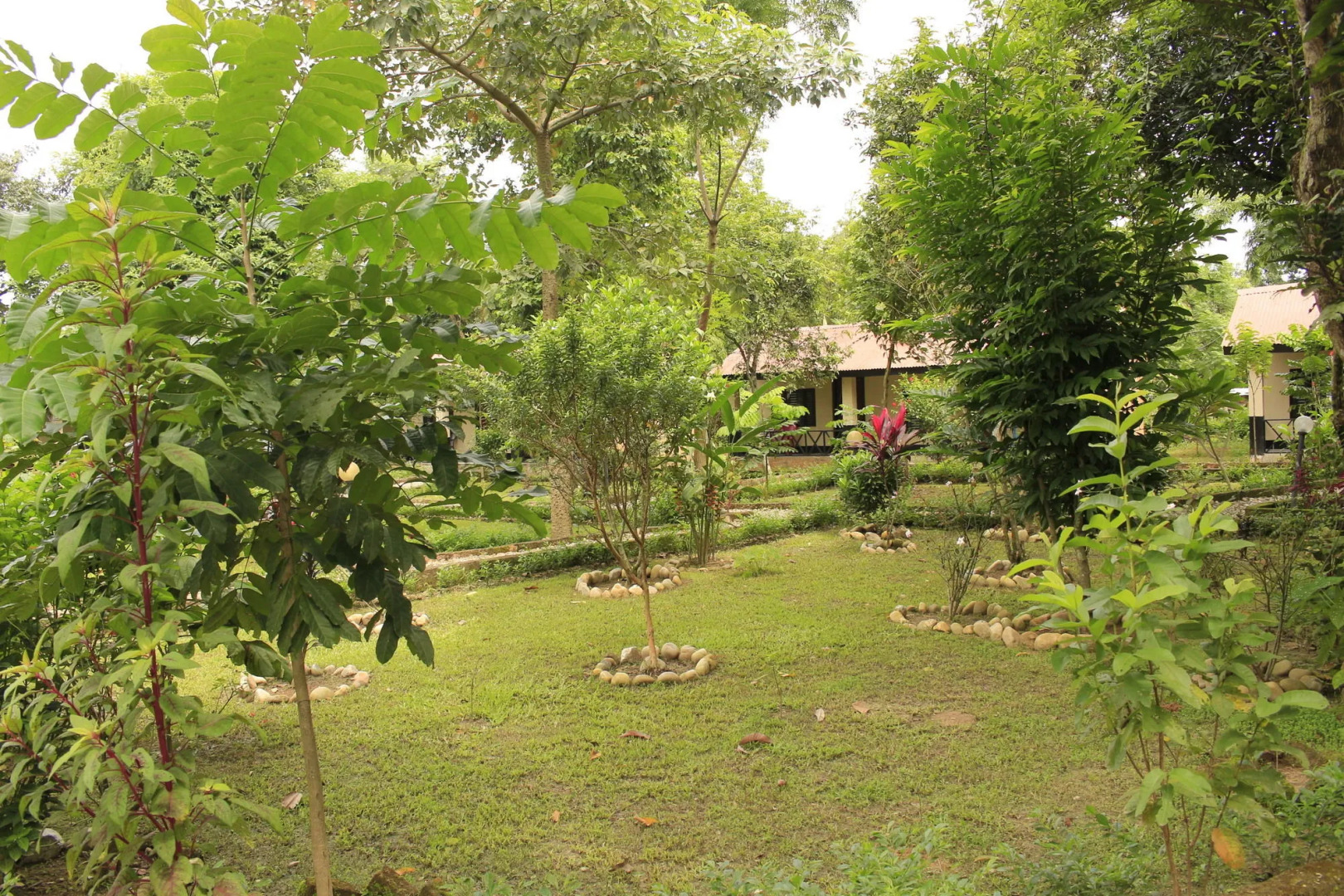 Chitwan Safari Camp & Lodge