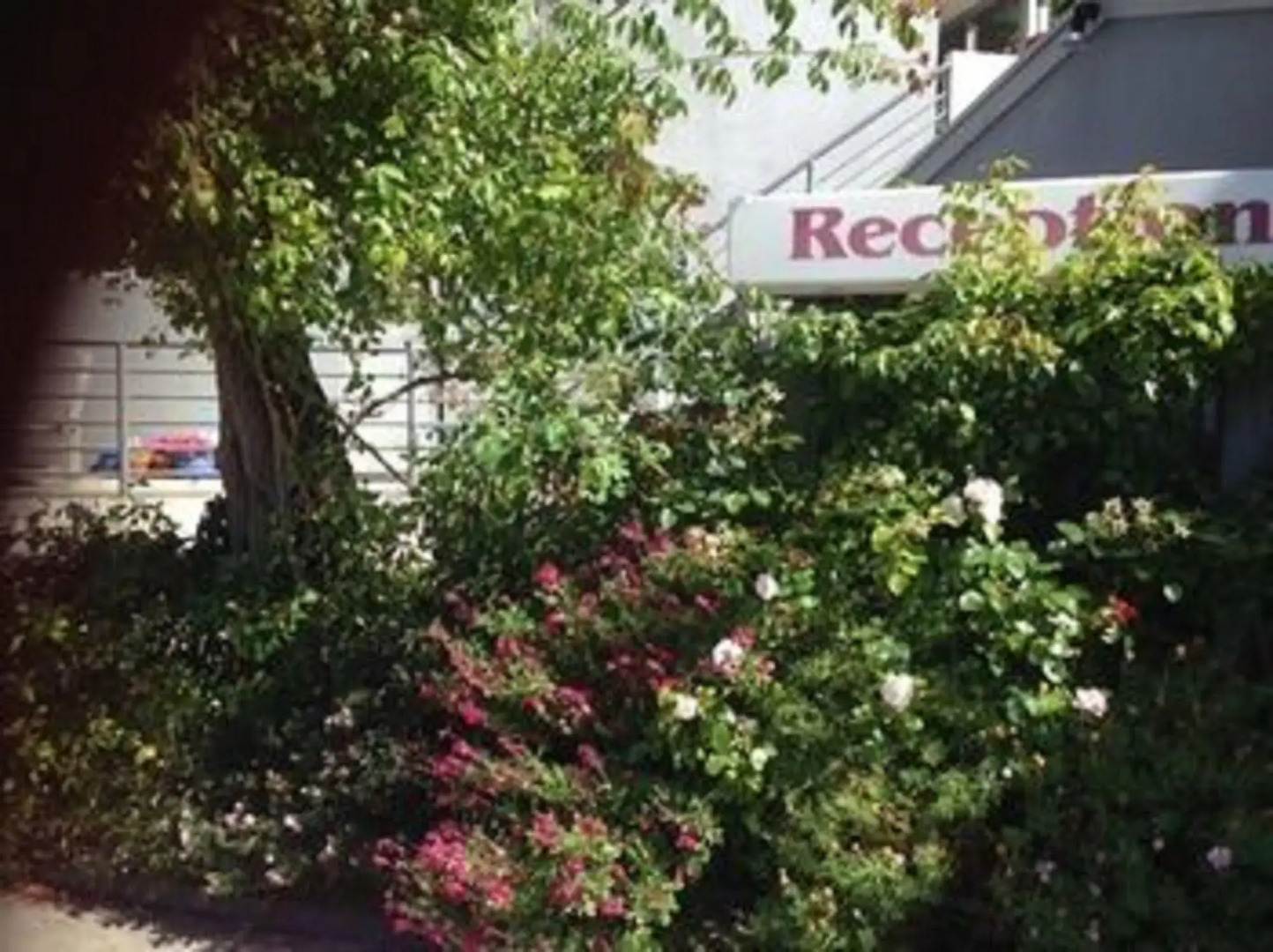 Lorne Bay View Motel