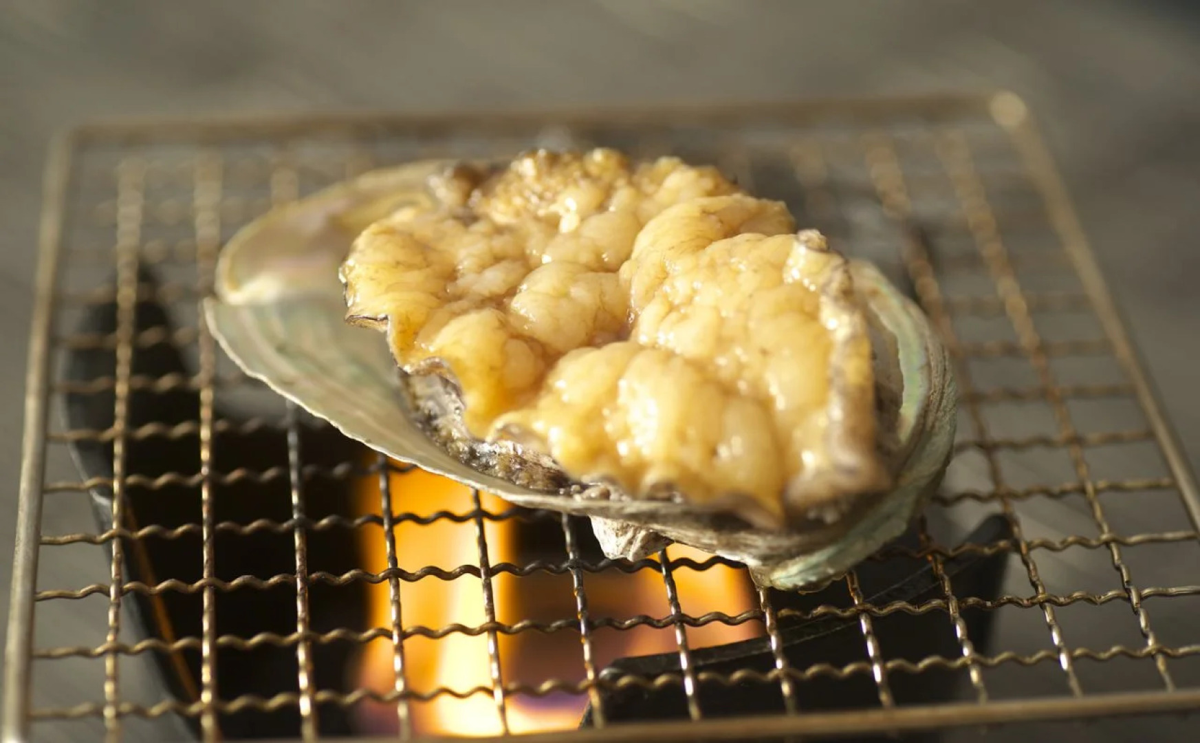 Kuroshio No Yado Rinkaiso