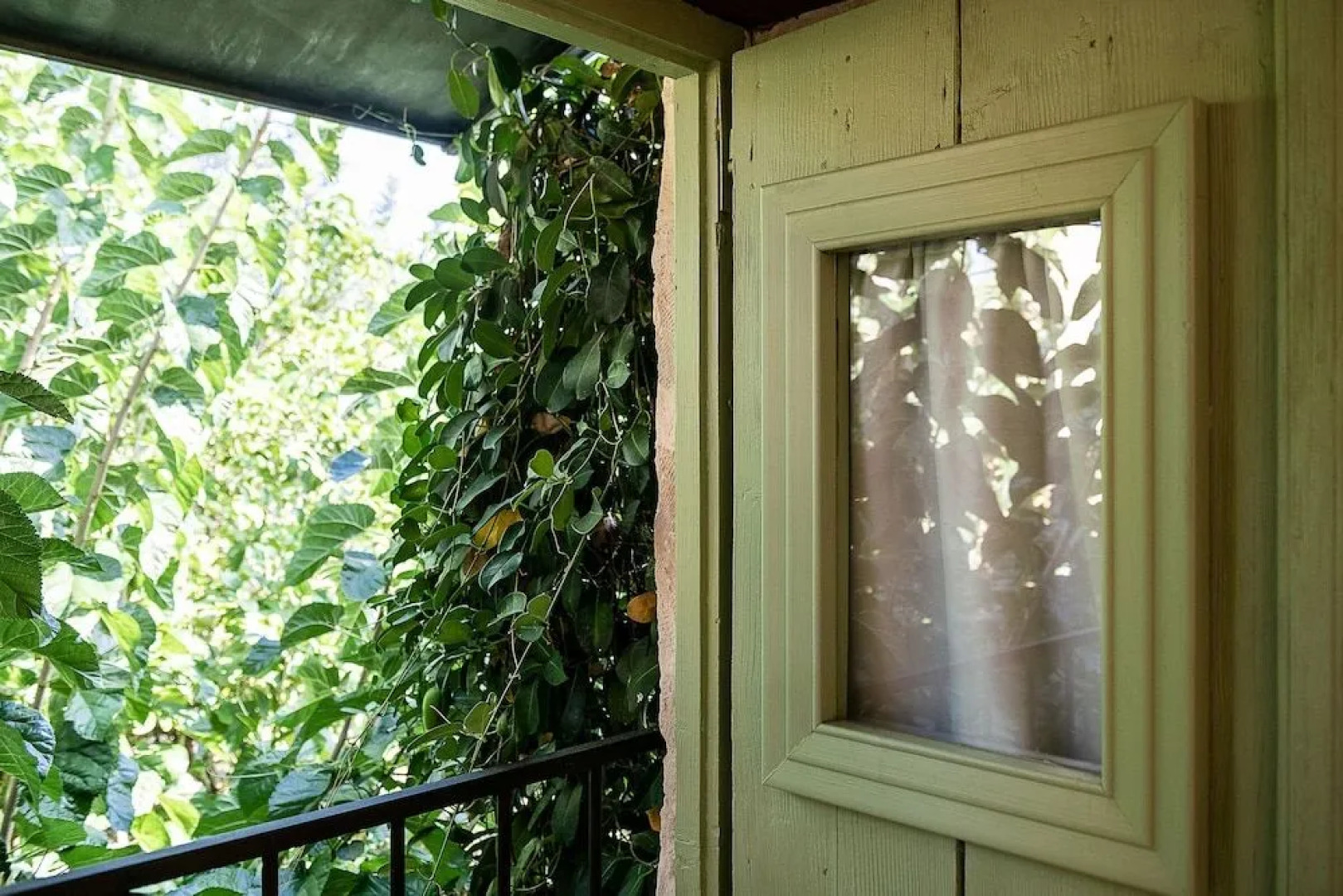 Lemon Tree Eco-Retreat