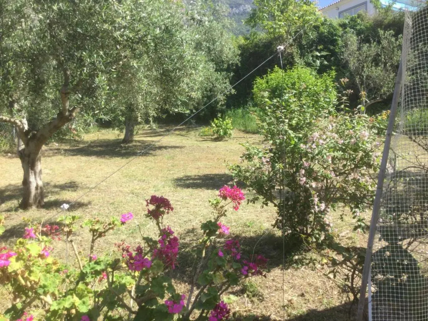 The Cabin, Kyparissia