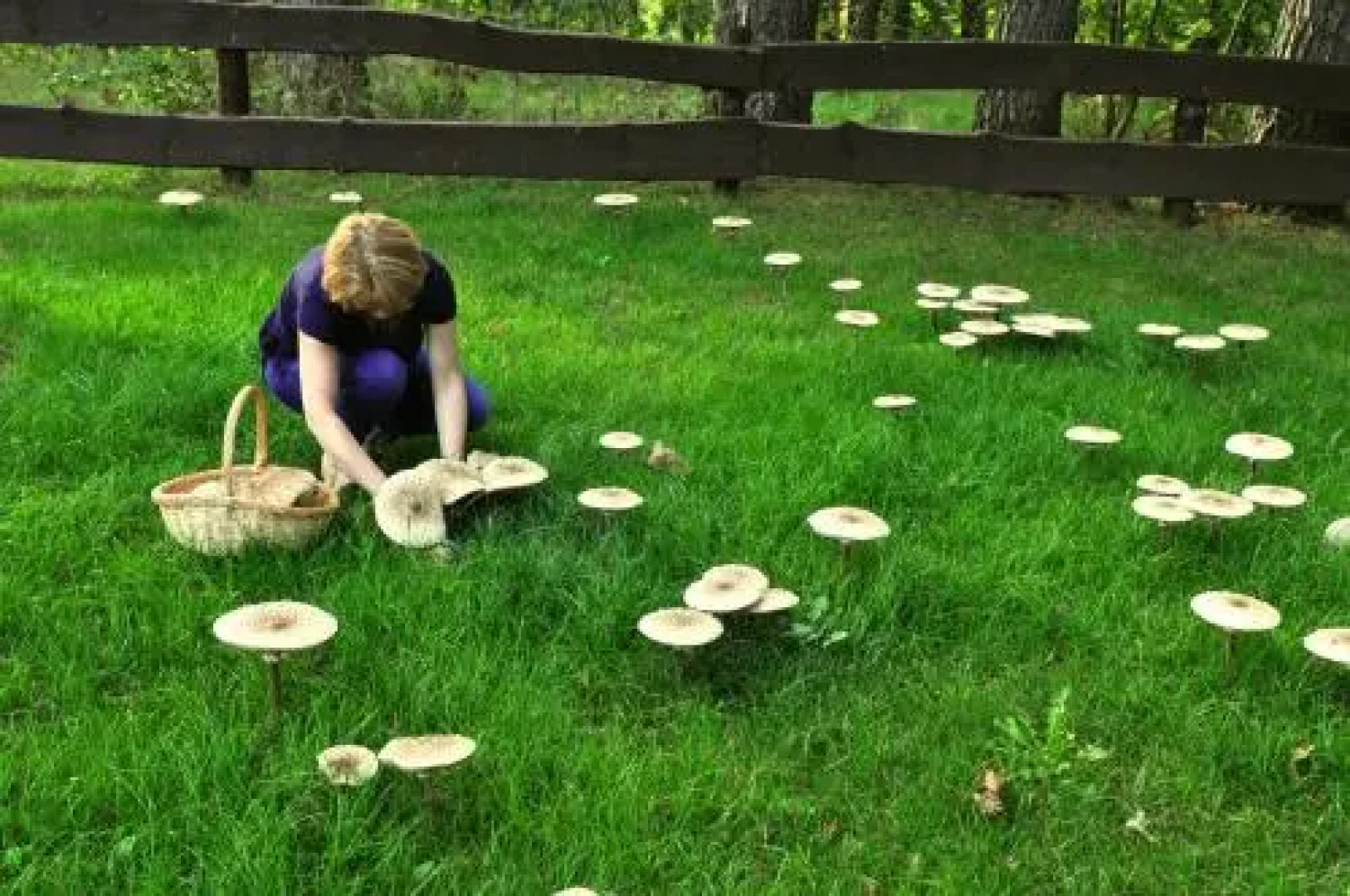 Osada Grzybowski Mlyn