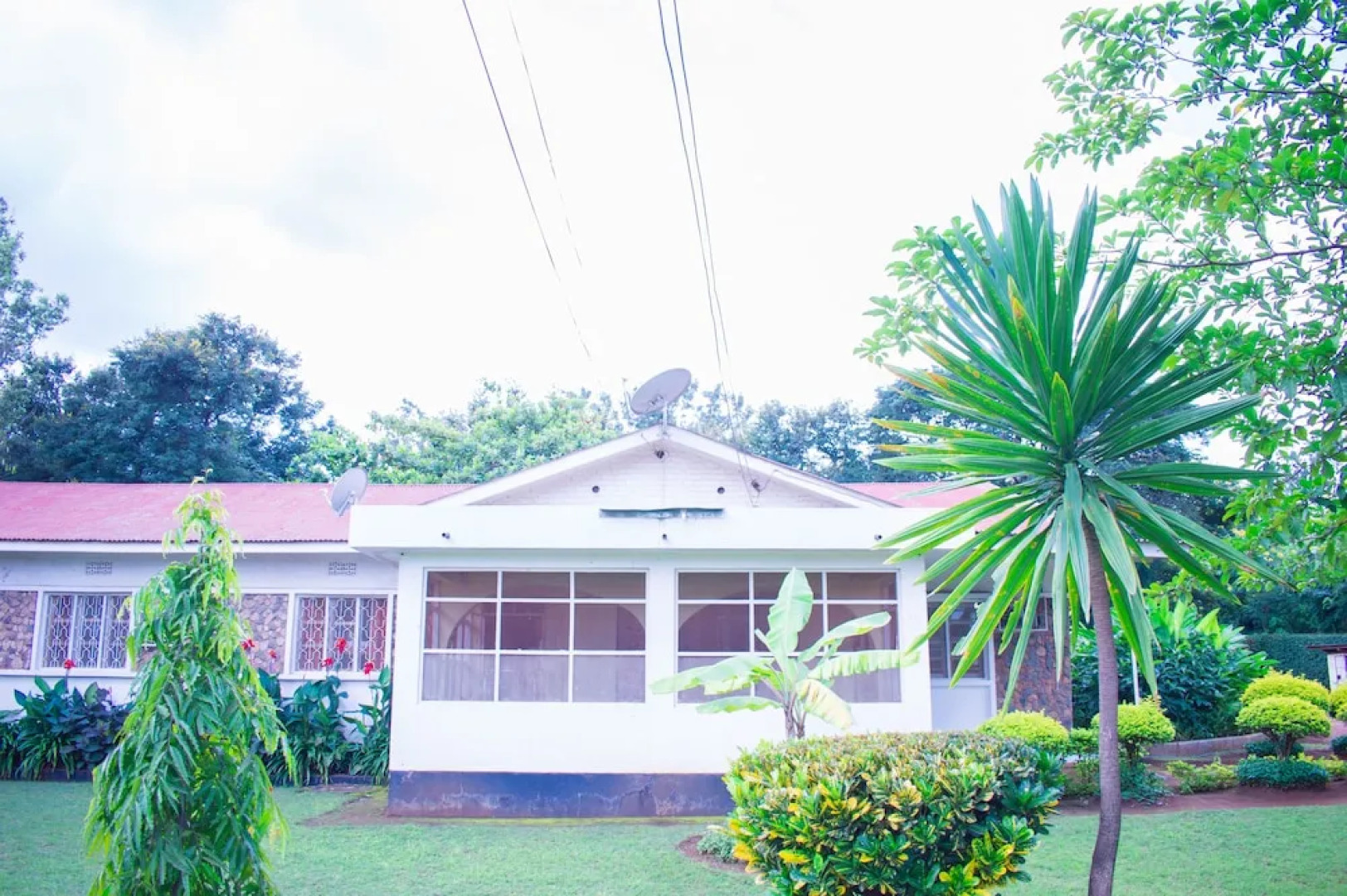 Kilihomebase & Campsite - Hostel