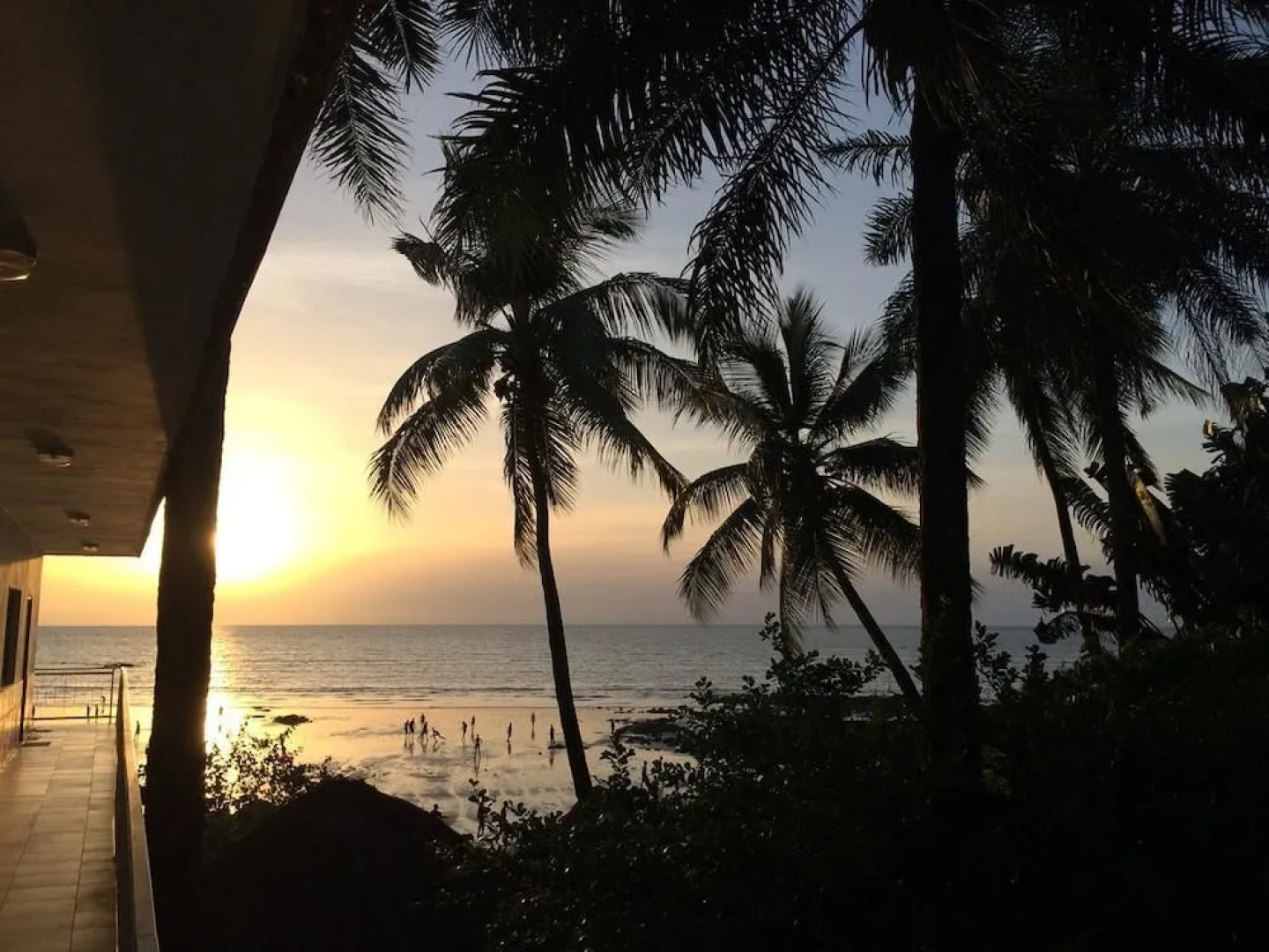 Pension Les Palmiers