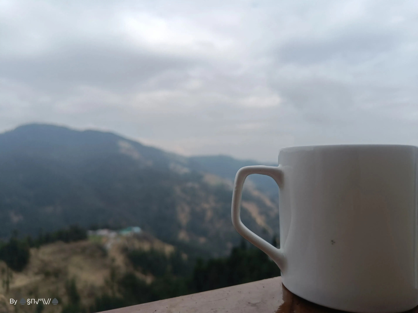 The Jungle Mountain Retreat