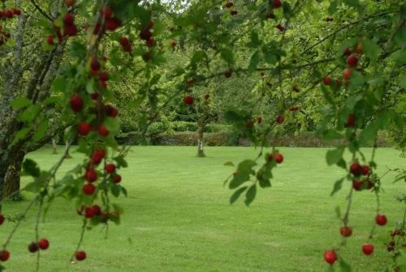 Rhosygilwen Courtyard