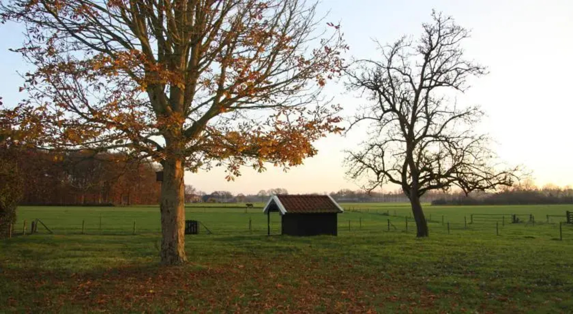 Bed and breakfast Het Hagenhuus