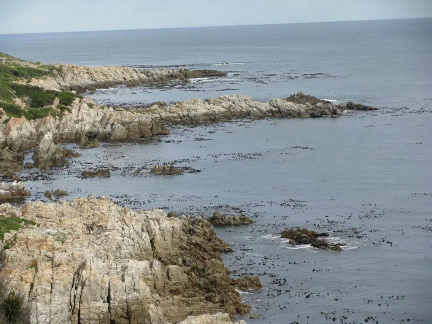 Holiday Home A104 Whale Cove