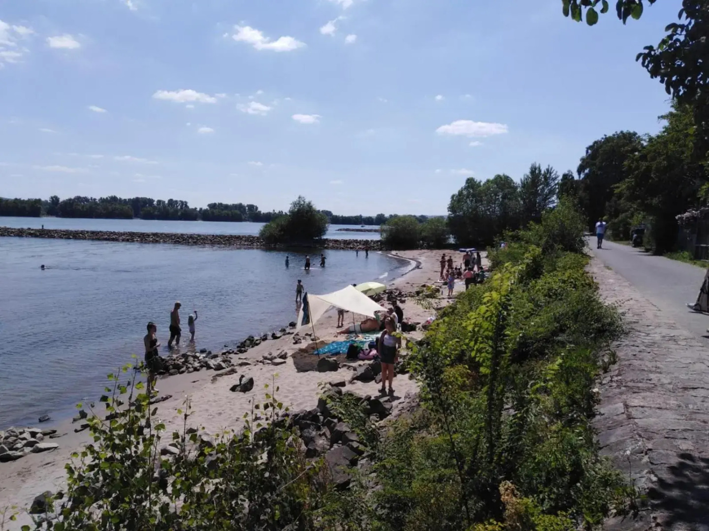 Rheingau und Weltkulturerbe Mittelrheintal erleben - Ferienappartement in Winkel