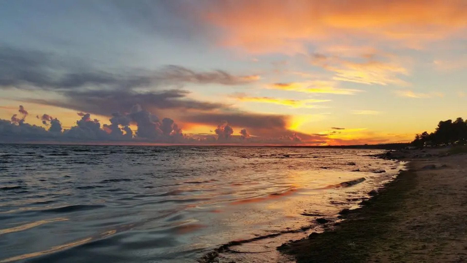 Коттеджи в Репино