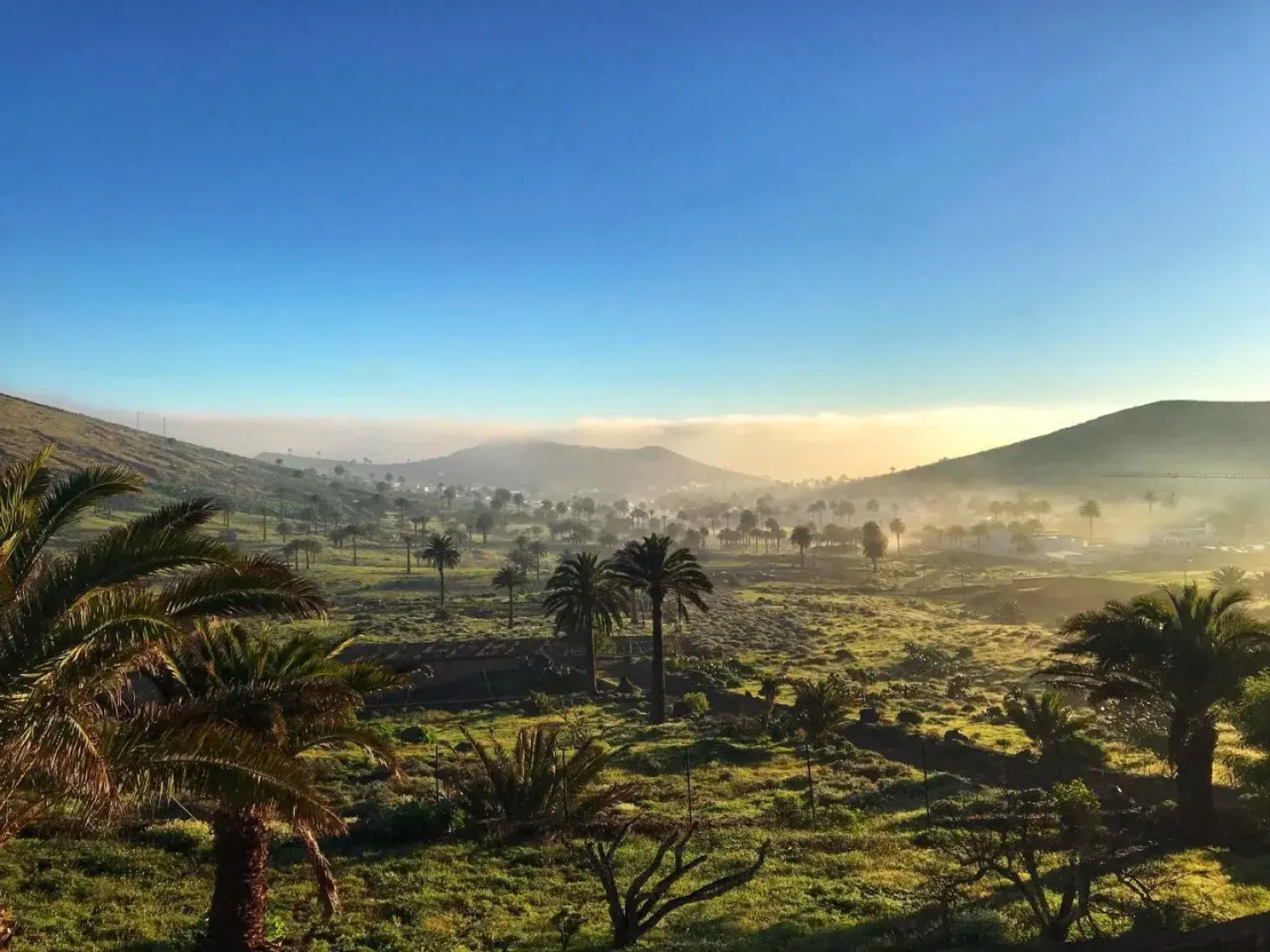 Finca La Fuentecilla