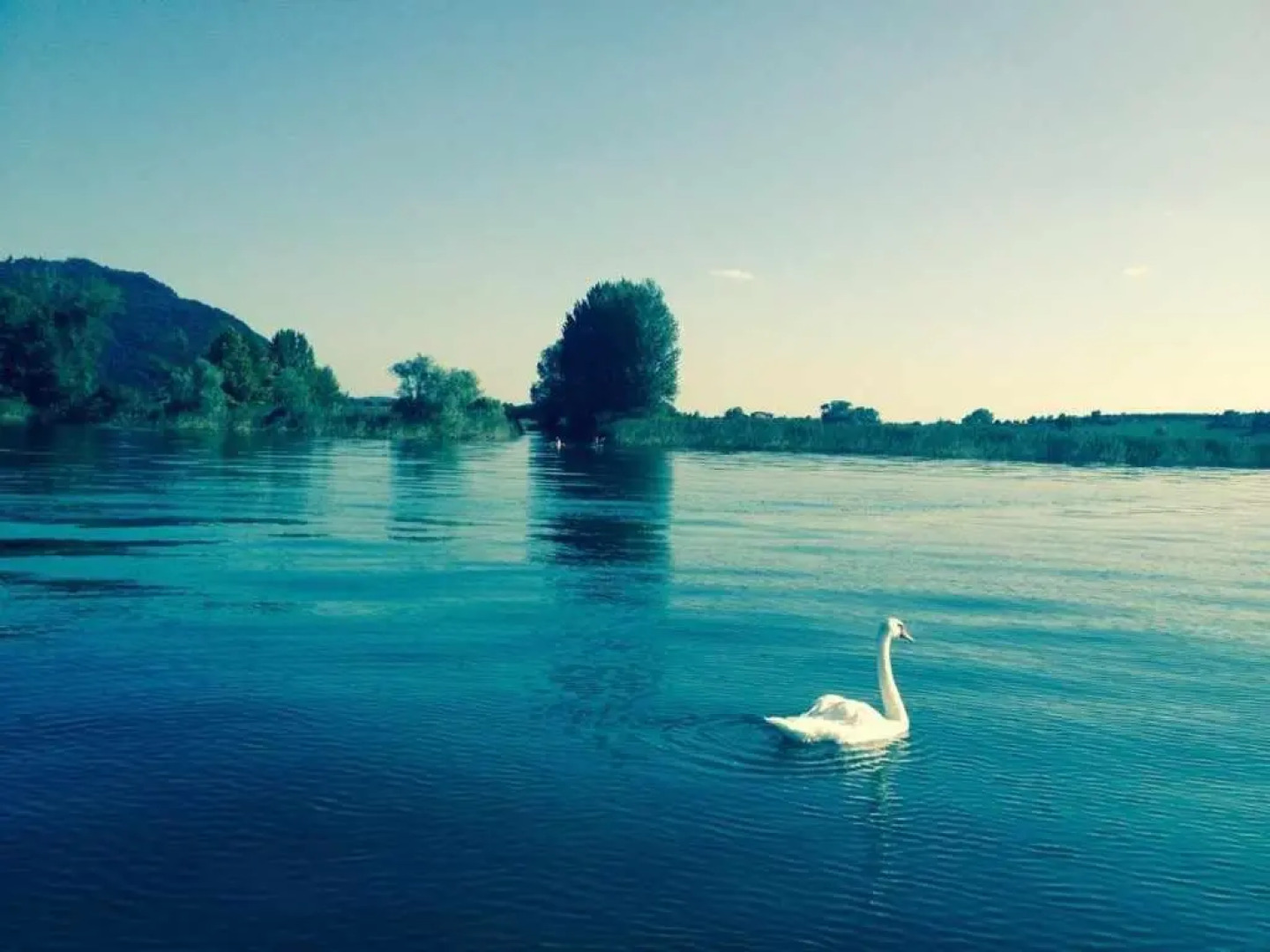 Historic house by the lake La Renée Casa Vacanza