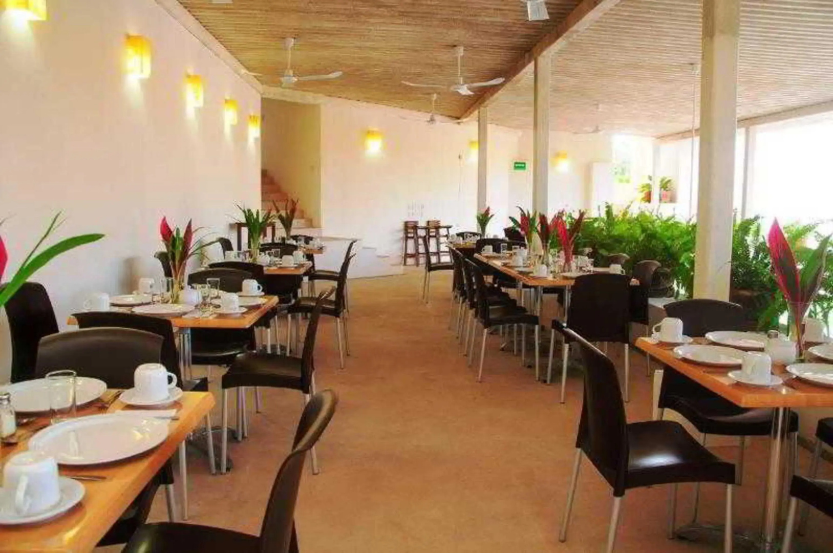 Hotel Ixzi Plus