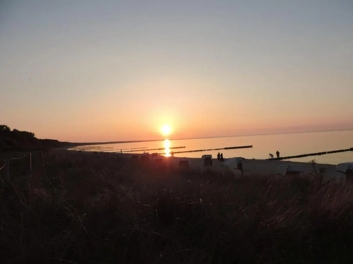 Ferienhaus Am Dünenwald