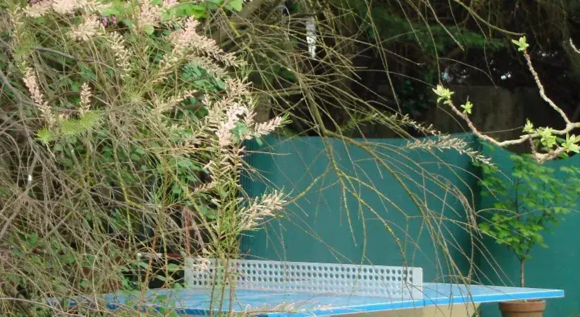 Camping de Brignoles