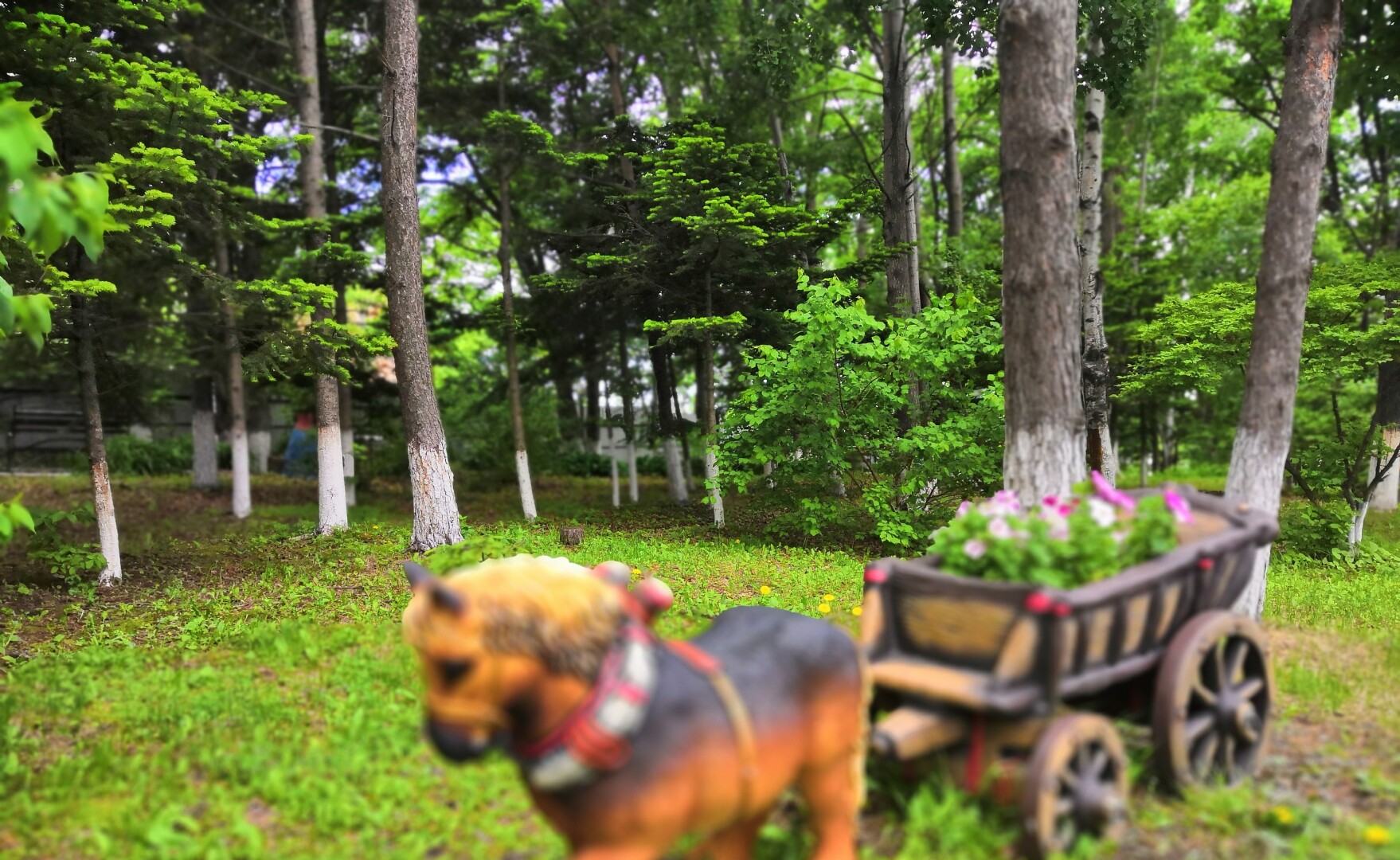 Океан (Владивосток)