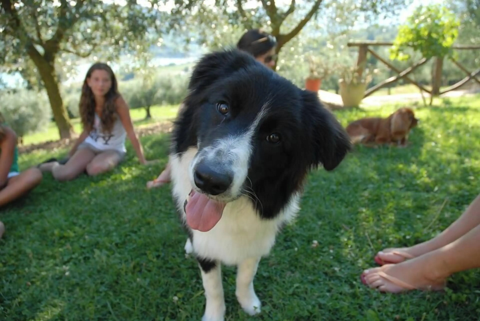 Agriturismo Le Ceregne bio