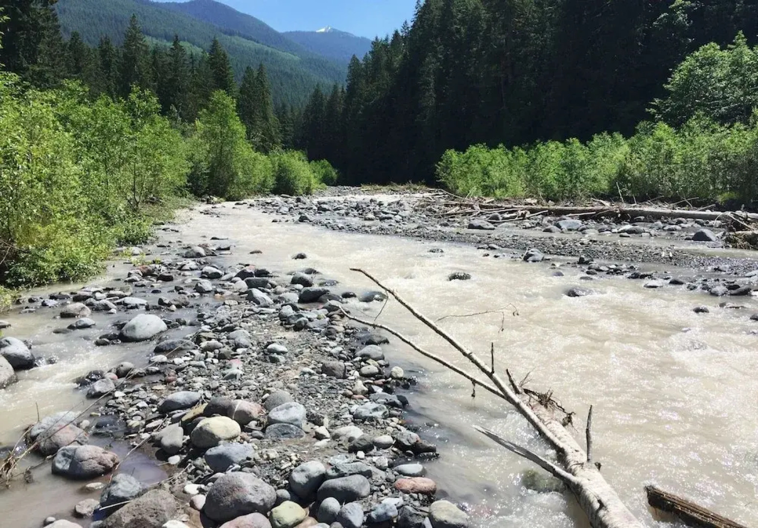 77mbr - Wi-fi - Fireplace - Pets Ok - BBQ