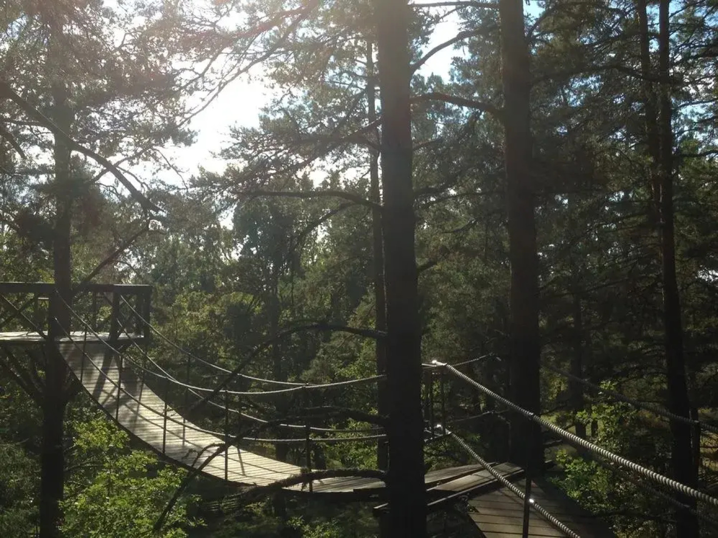 Urnatur Eco Treehouse Lodge