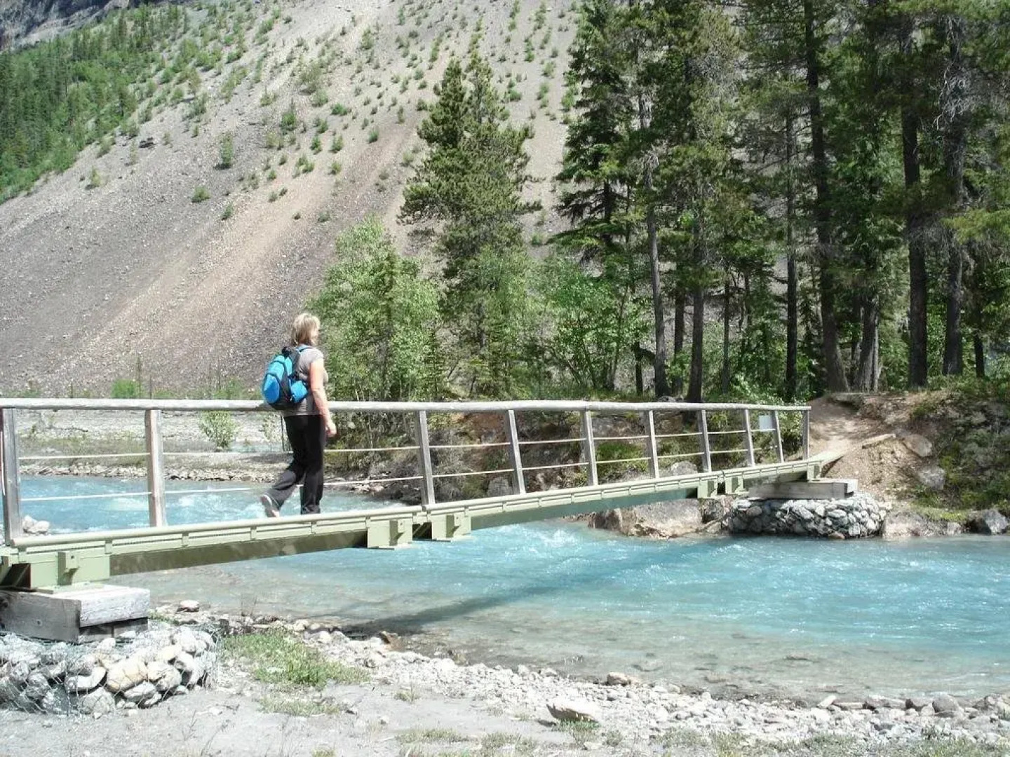 TimberWolf Lodge B&B