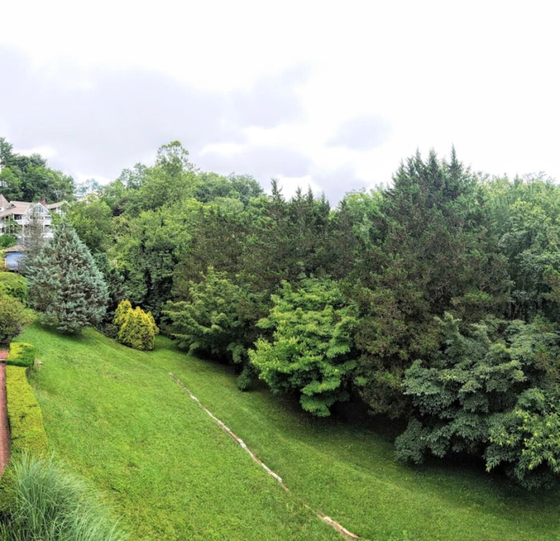 Innisfree Boutique Inn By-The-Lake