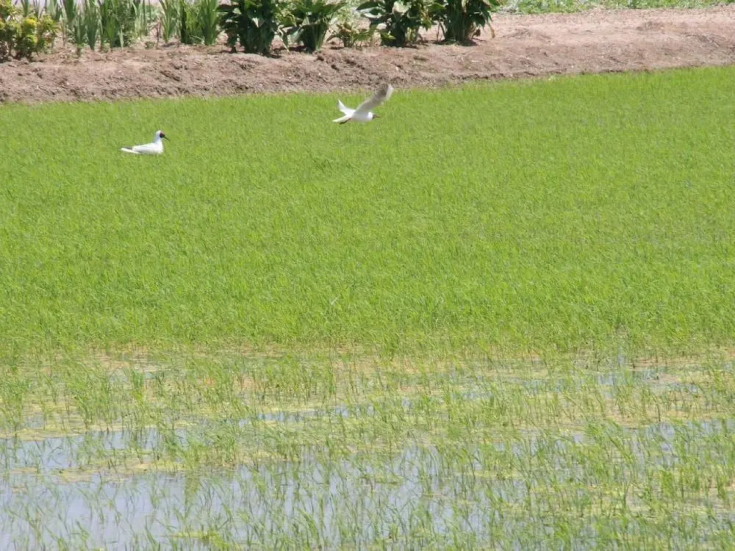B&B Casa Rural Mas del Rey