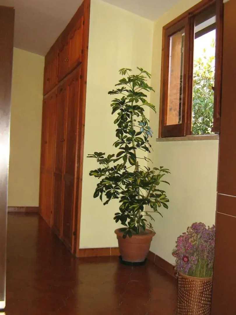 Da Miranda Bed & Breakfast