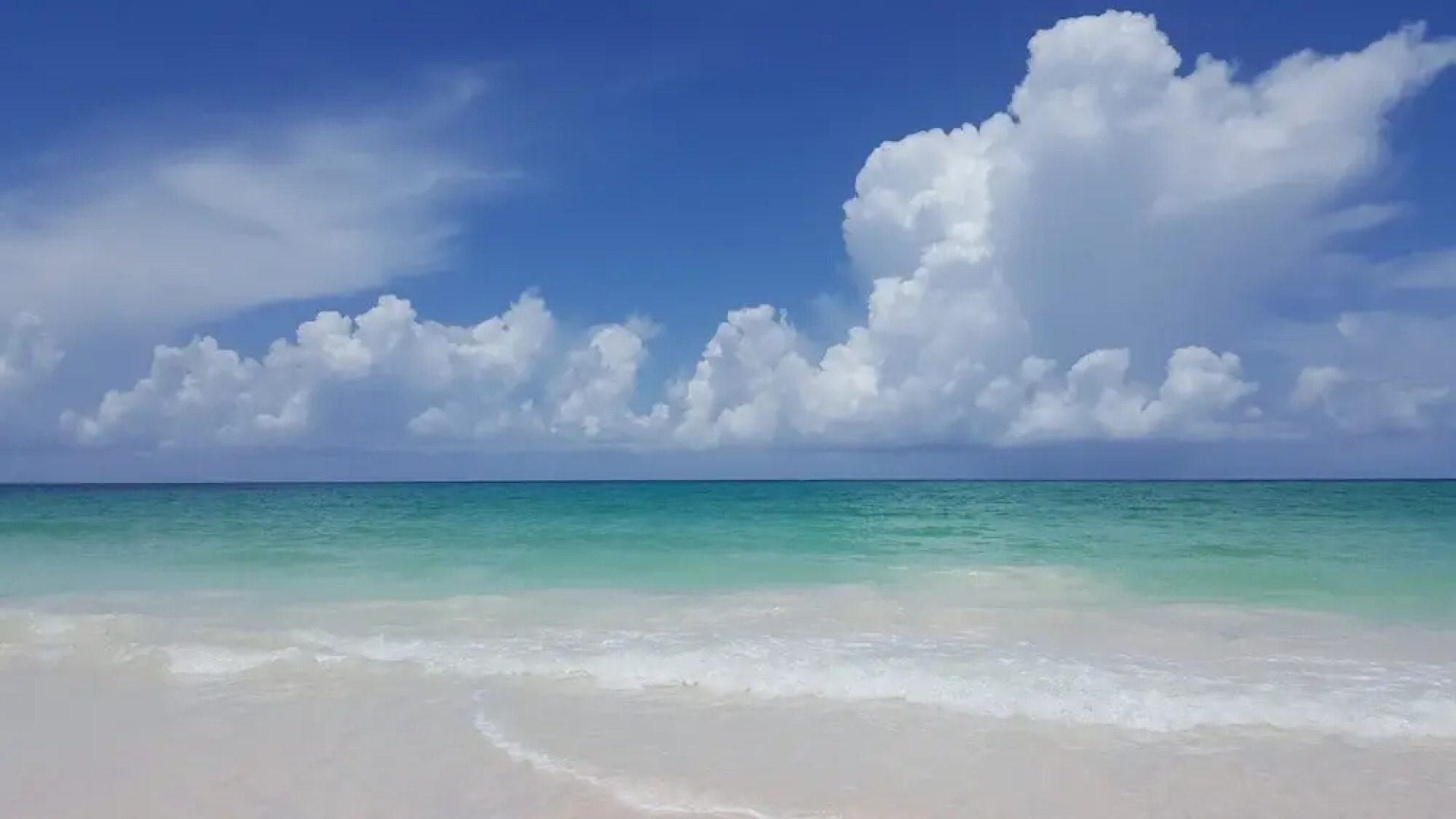 Turtle Pointe - Lux New Windermere Home W/pool, Boat Dock, Beach 3 Bedroom Home