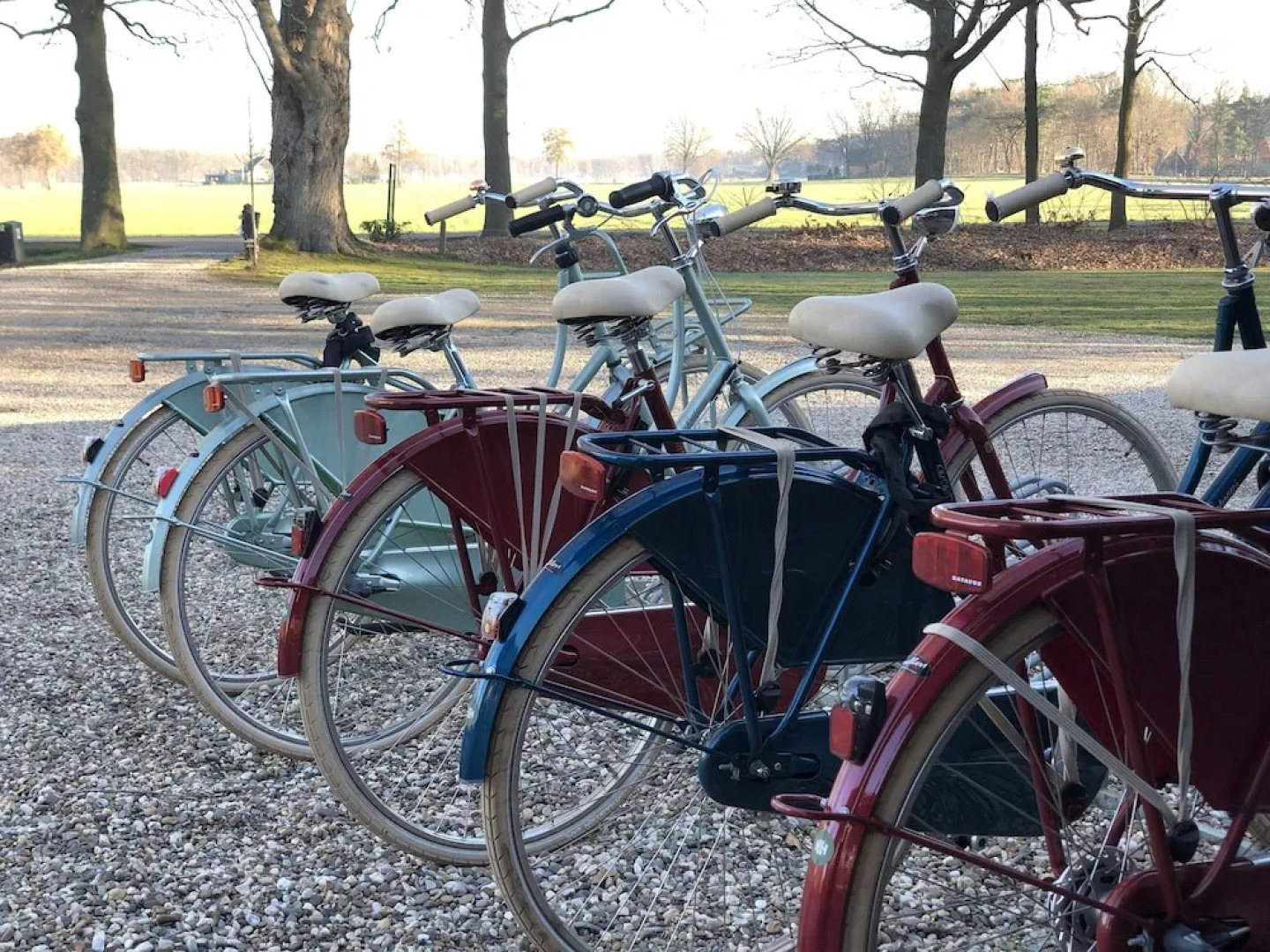 Hoeve de Haar B&B&More