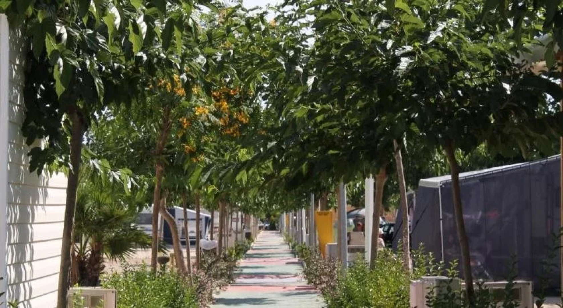 Resort Camping Almafrá