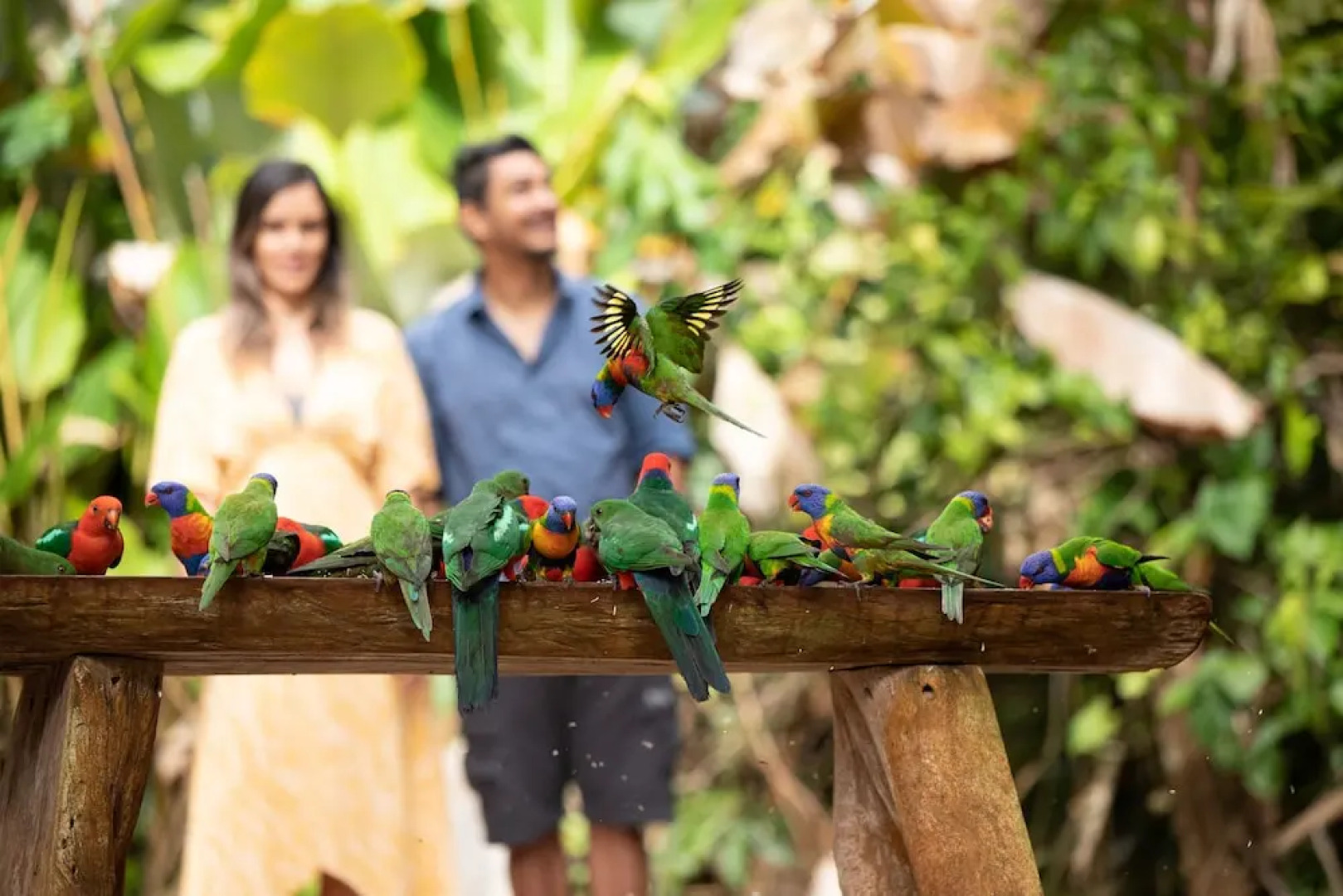 Rose Gums Wilderness Retreat