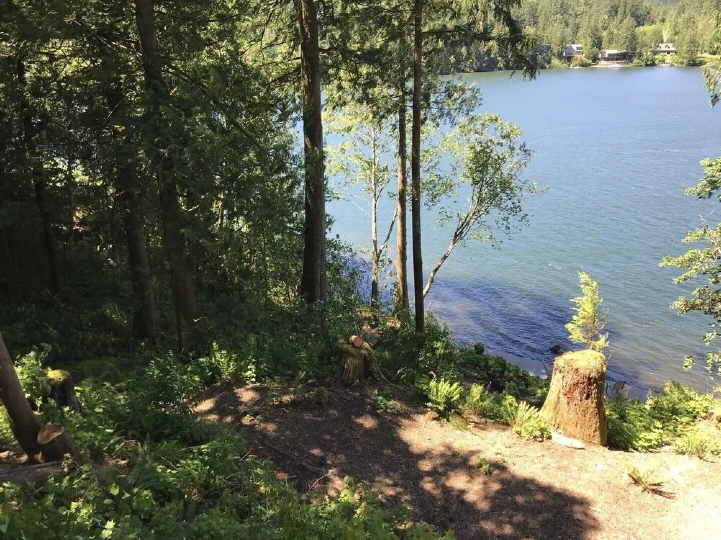 07MF - Silver Lake #7