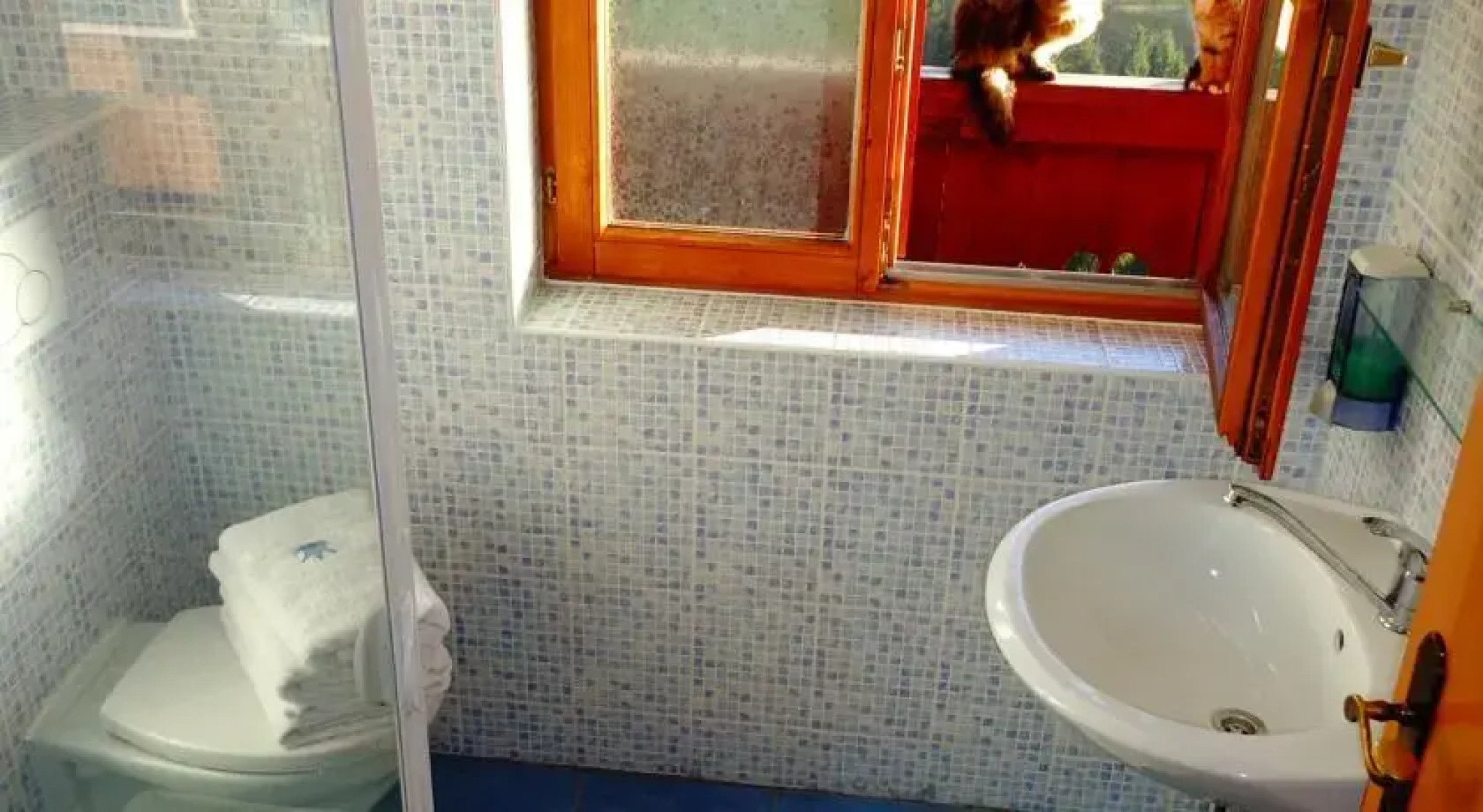 Bio Bauernhof Brandgut