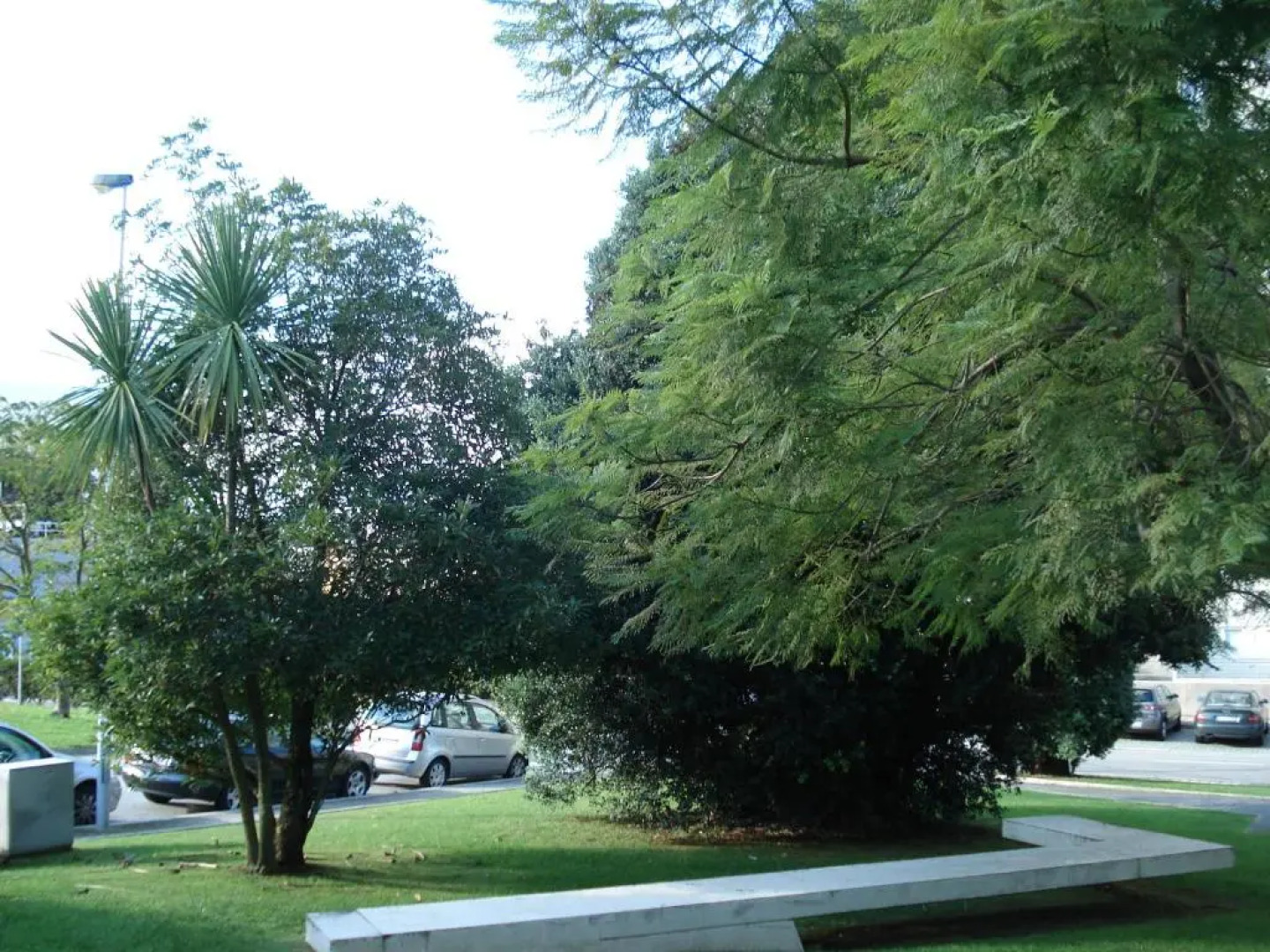 Porto D´Ouro Apartments