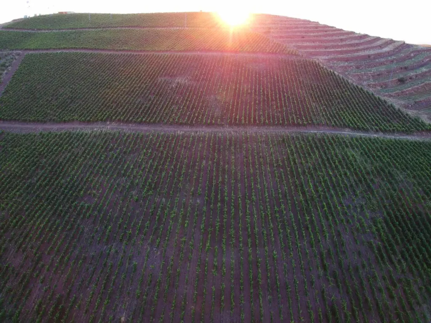 Villa Estet Bag Oteli