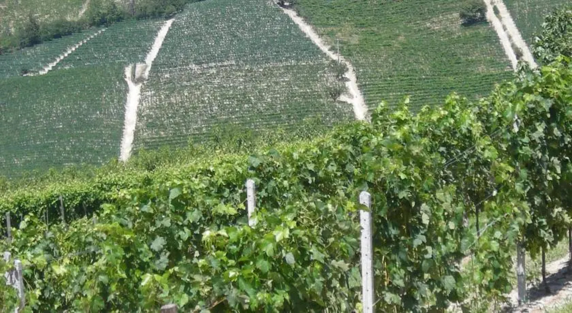 Ada Nada Agriturismo