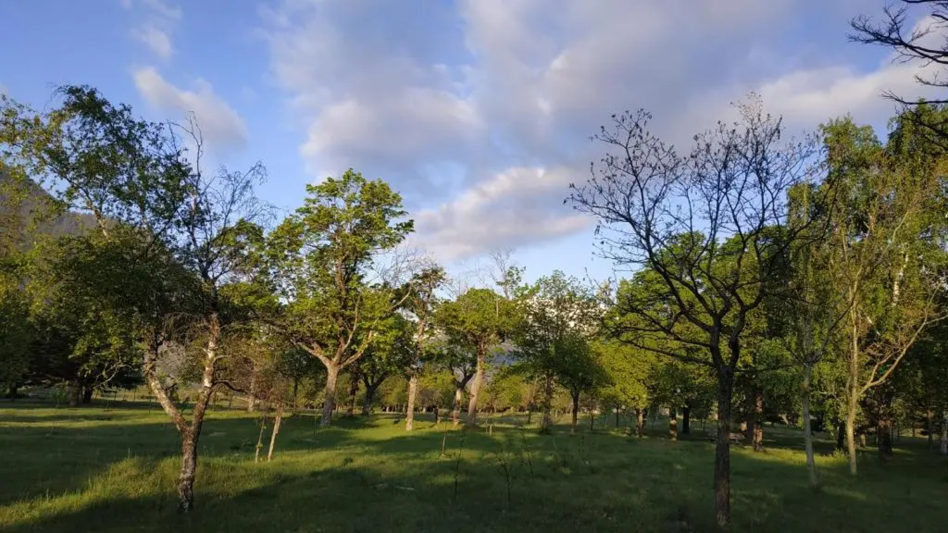 le galet chez Jacquie et Fifi