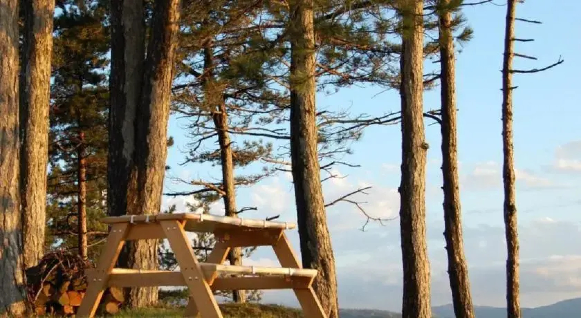 La Tana degli Scoiattoli