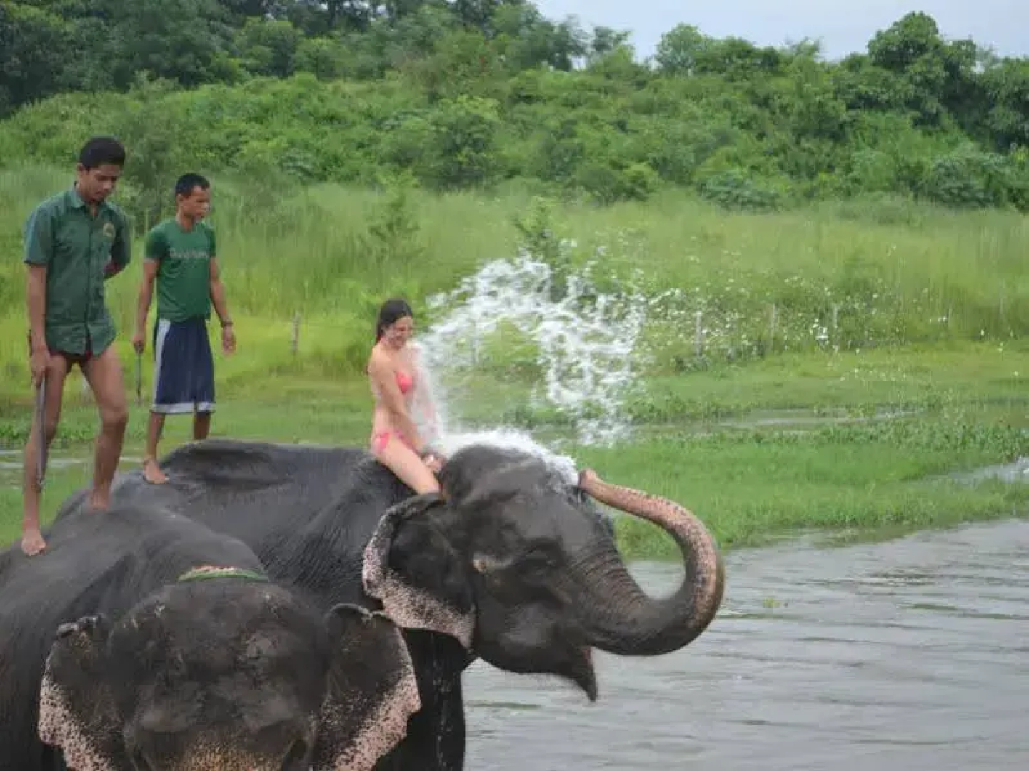 Tigerland Safari Resort