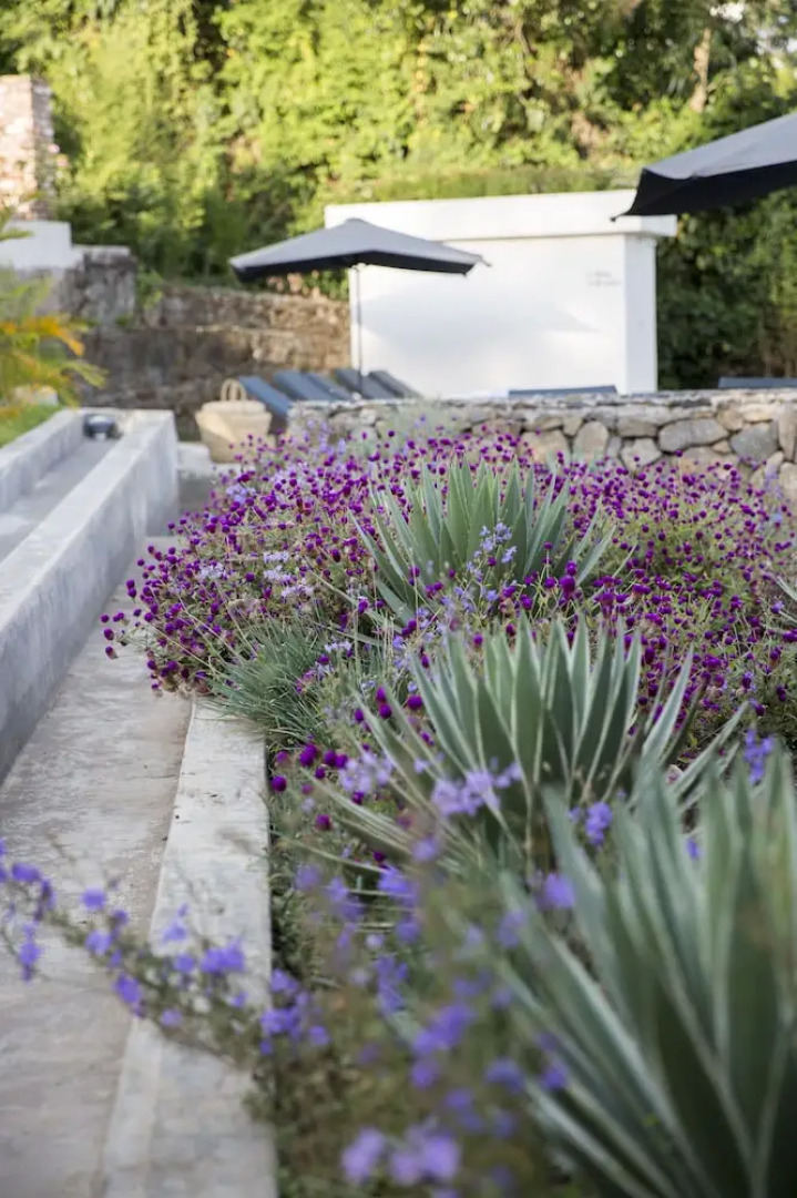 Arusha Villa Karamu Coffee Estate
