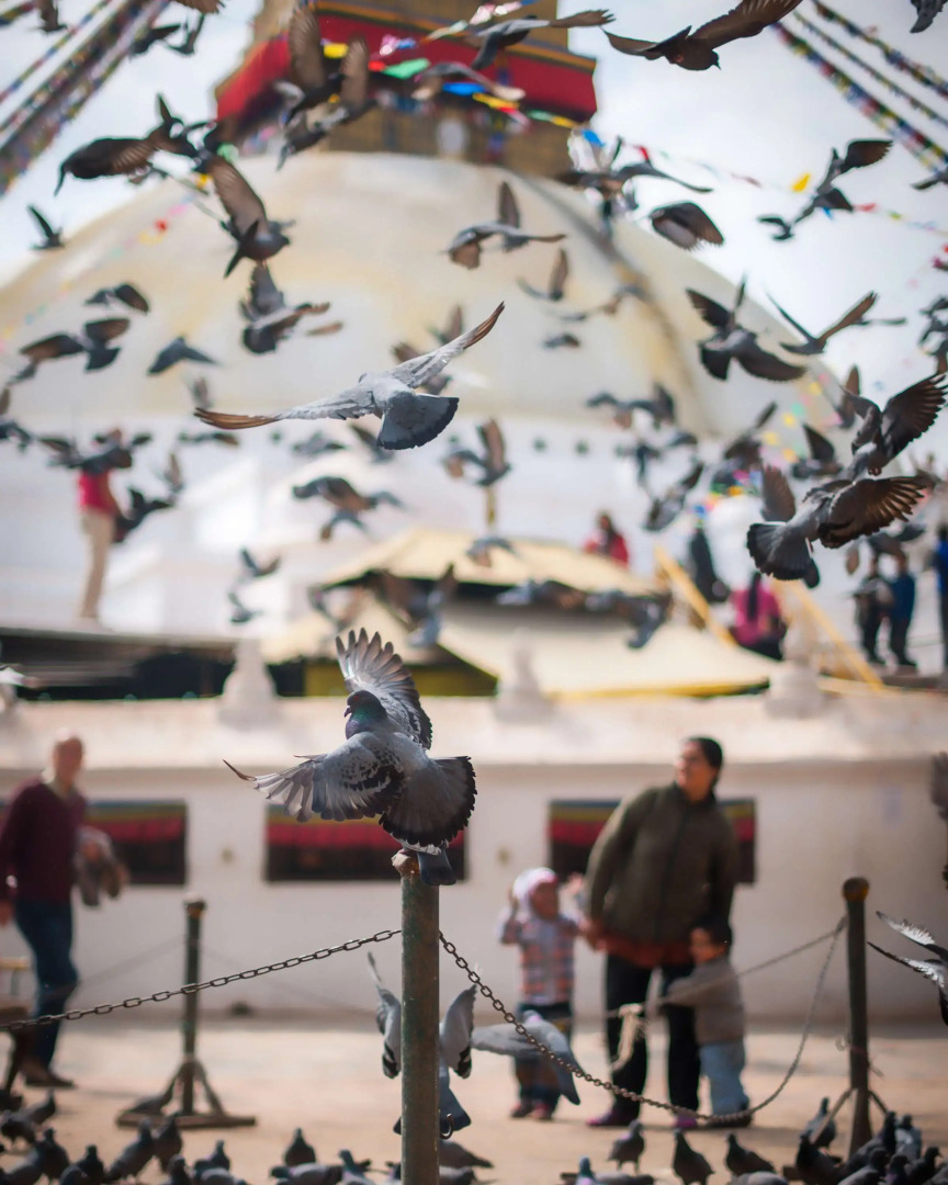 Hyatt Regency Kathmandu