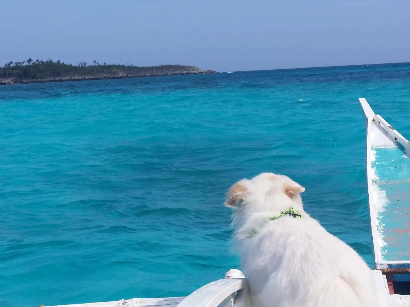 Villa Carillo Beach Resort