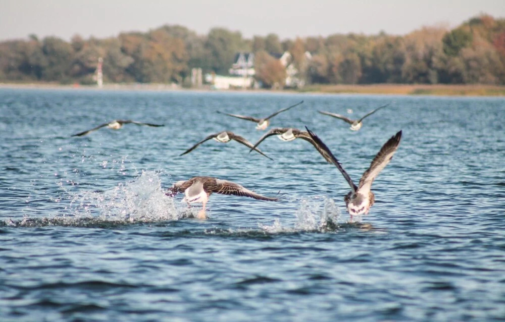 Amazing Home in Rechlin With 2 Bedrooms, Sauna and Wifi