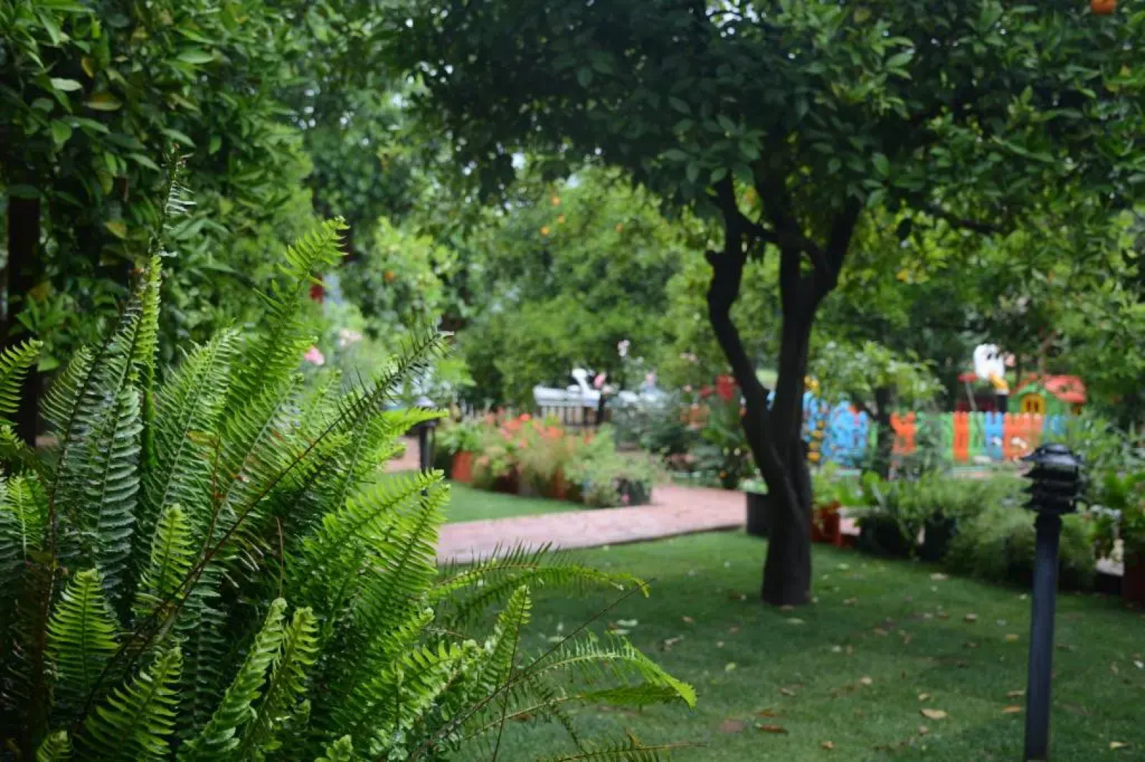 Caretta Caretta Pension