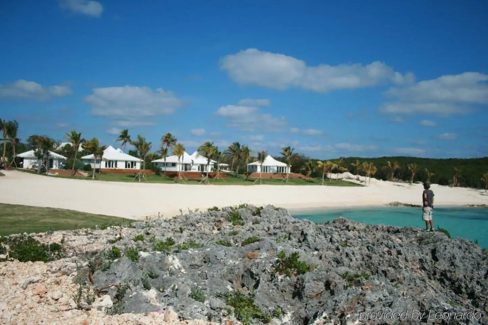 The Cove Eleuthera