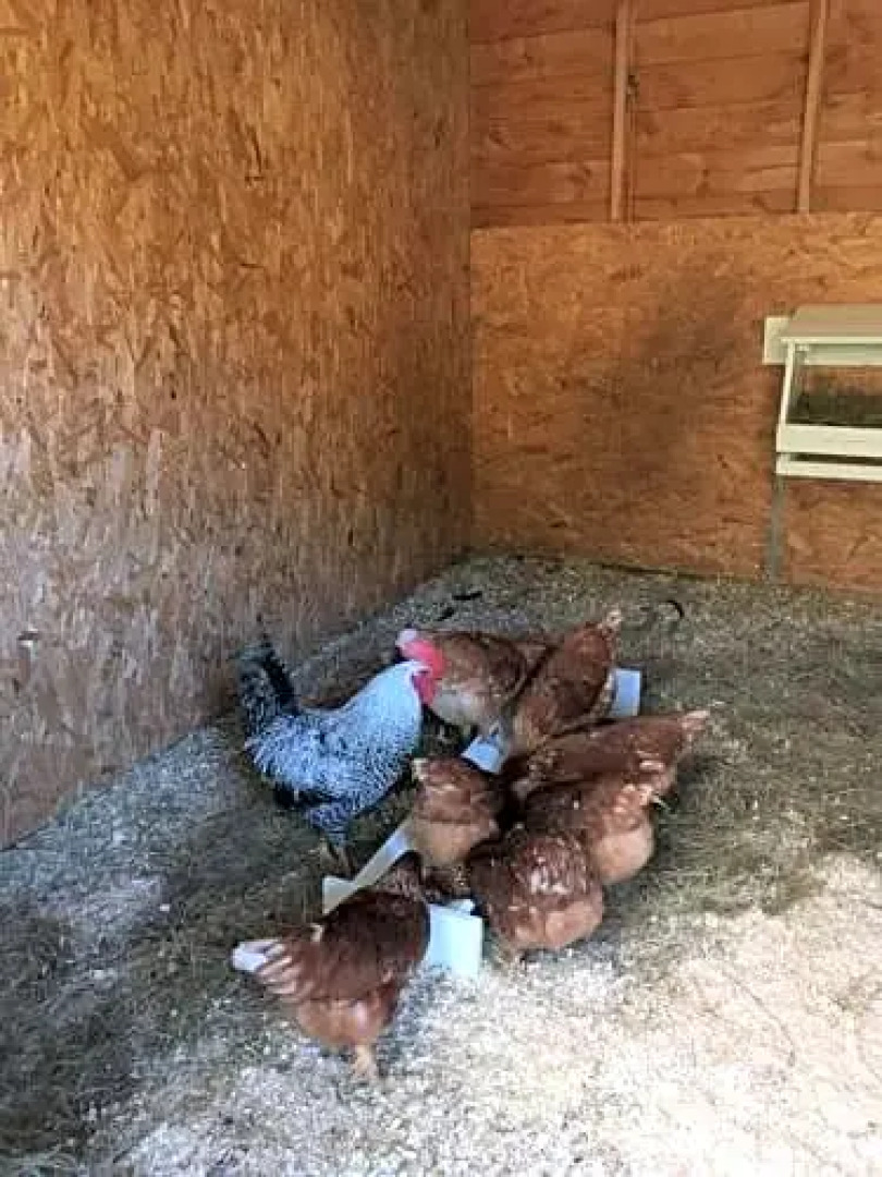 Willie Jack's Cottage B&B, Near NC500