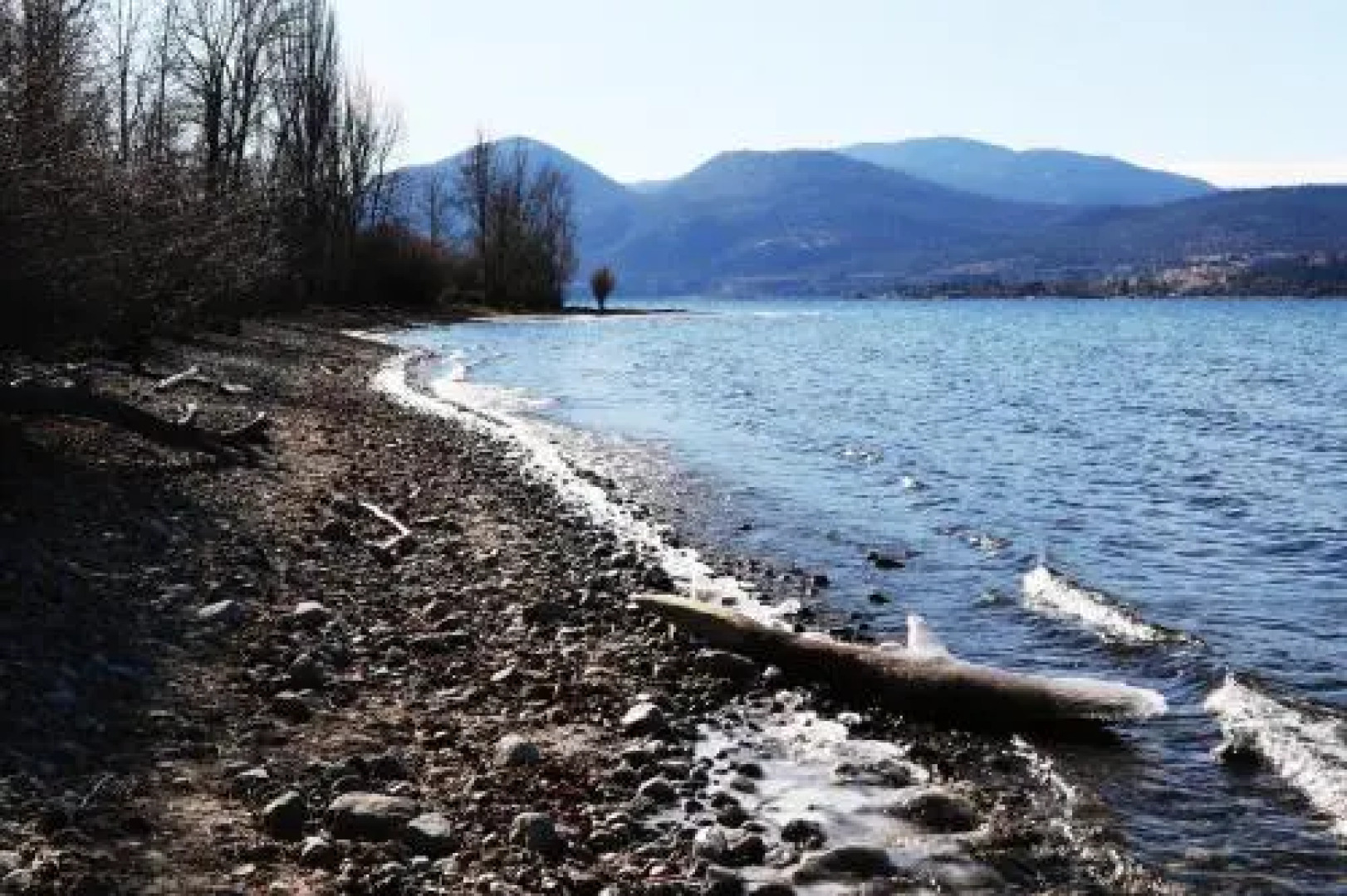 Sunshine and Wine Loft